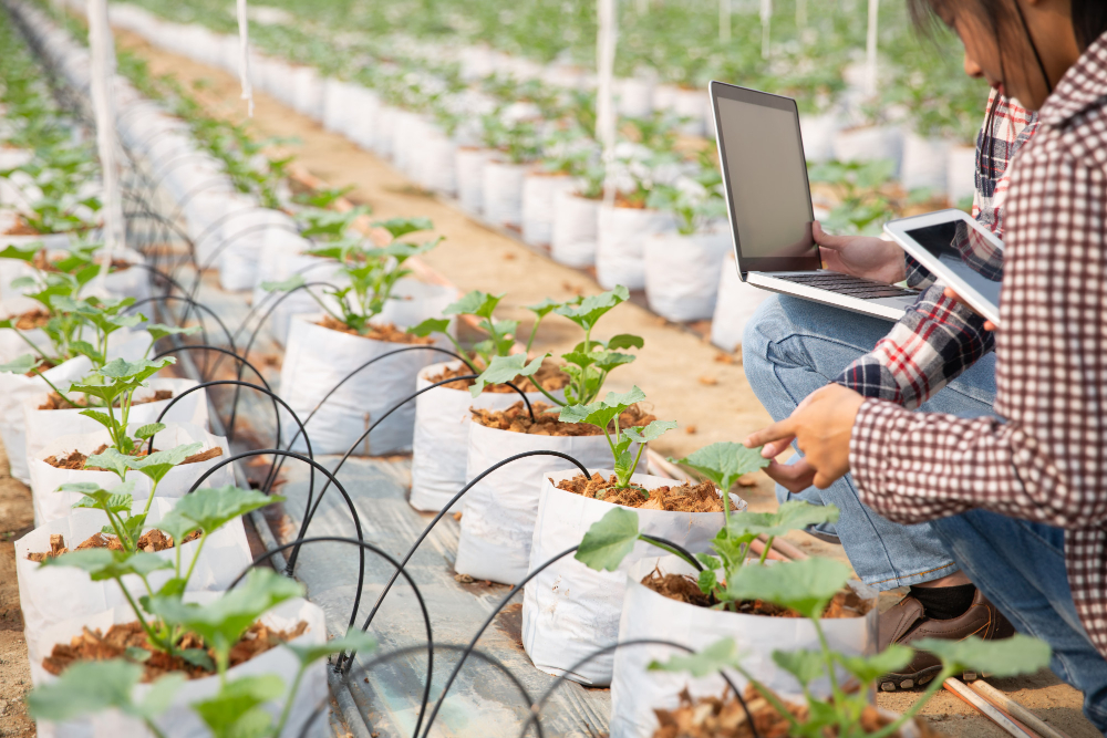Agricultural automation