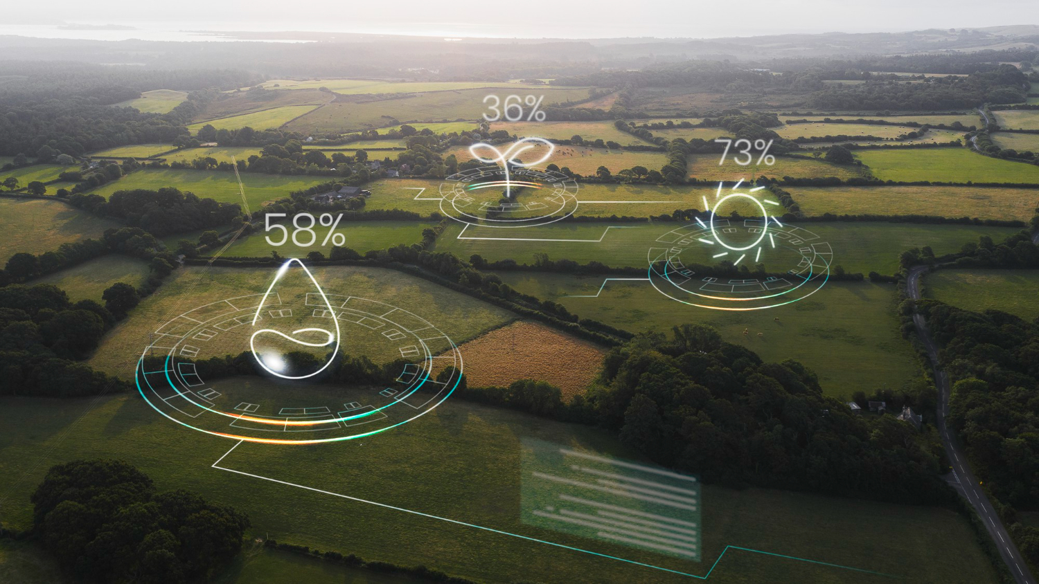 Modern agricultural fields with automated irrigation